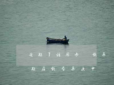逾期了信用卡還能再辦嗎怎么辦呢，信用卡逾期后，能否再次申請？解決辦法大揭秘！